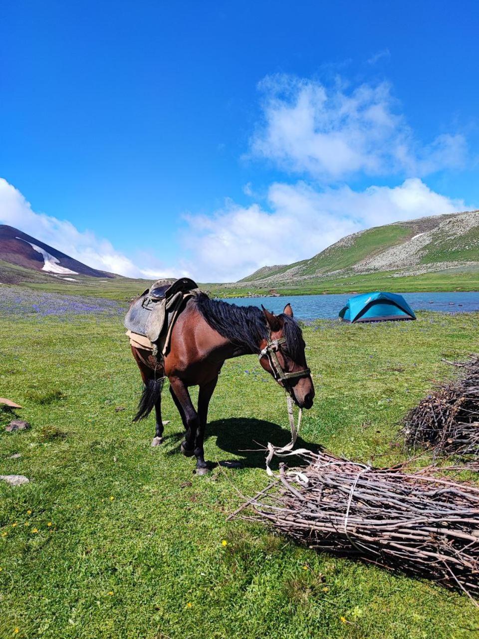 Highland Hostel Jerevan Eksteriør billede