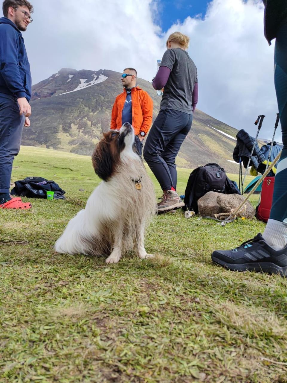 Highland Hostel Jerevan Eksteriør billede