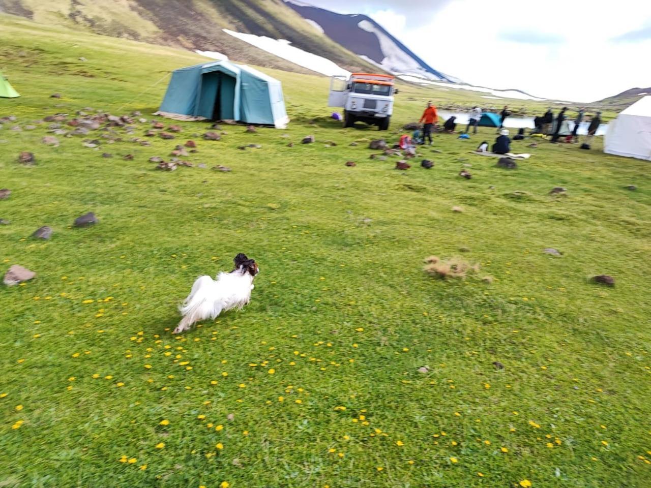Highland Hostel Jerevan Eksteriør billede